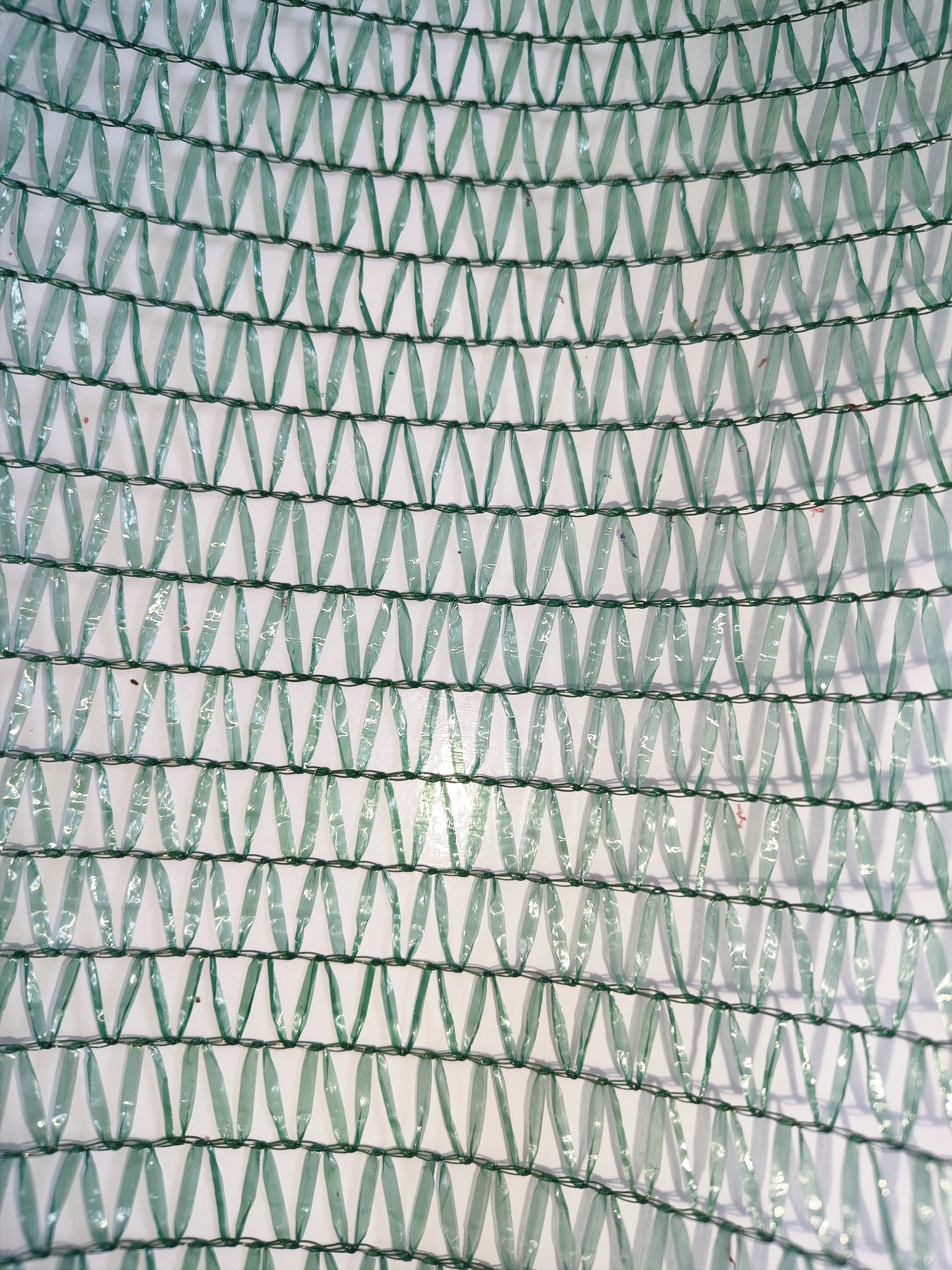 29×65 绿色缠绕网