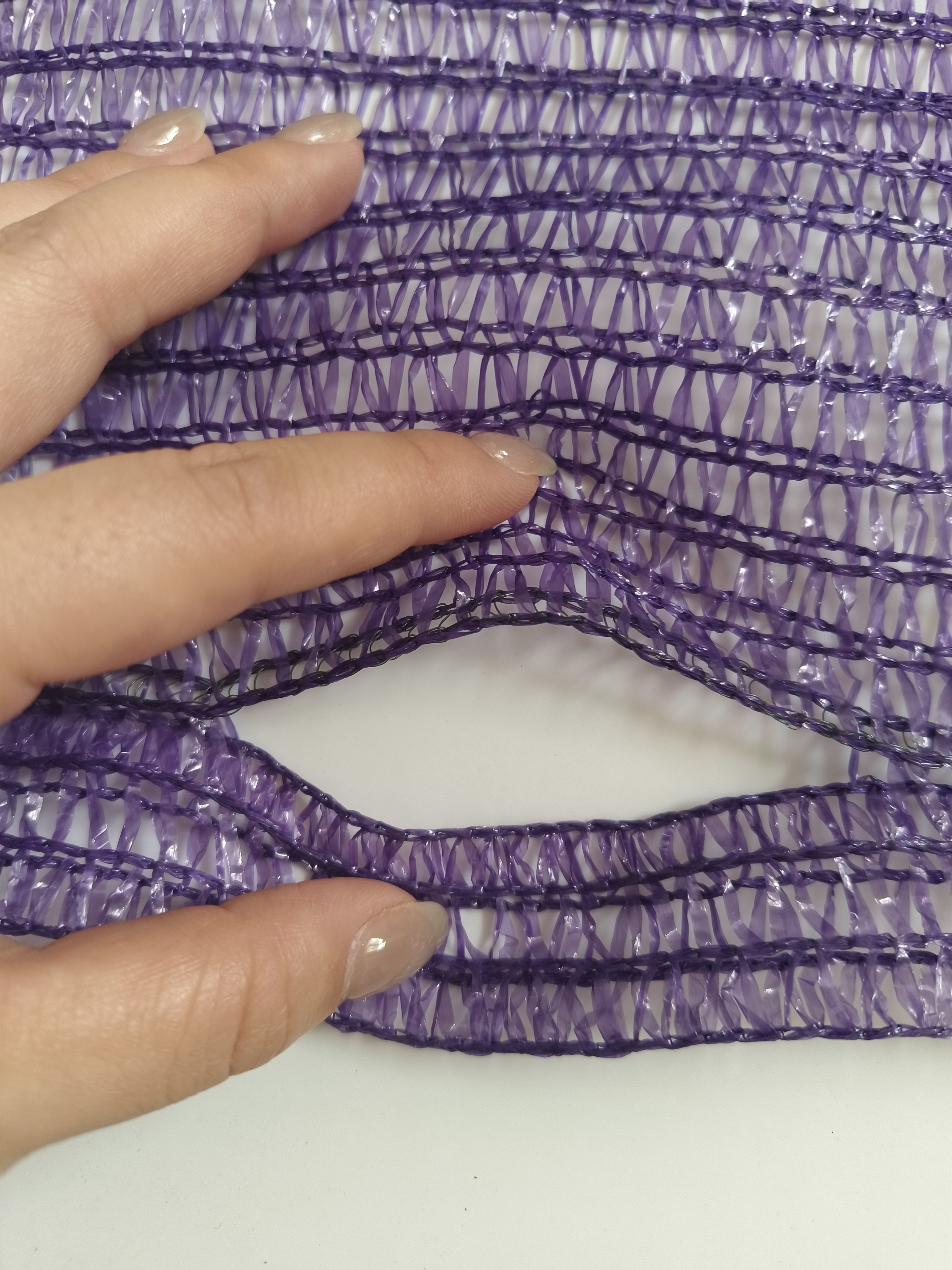 21×31 紫色网眼袋