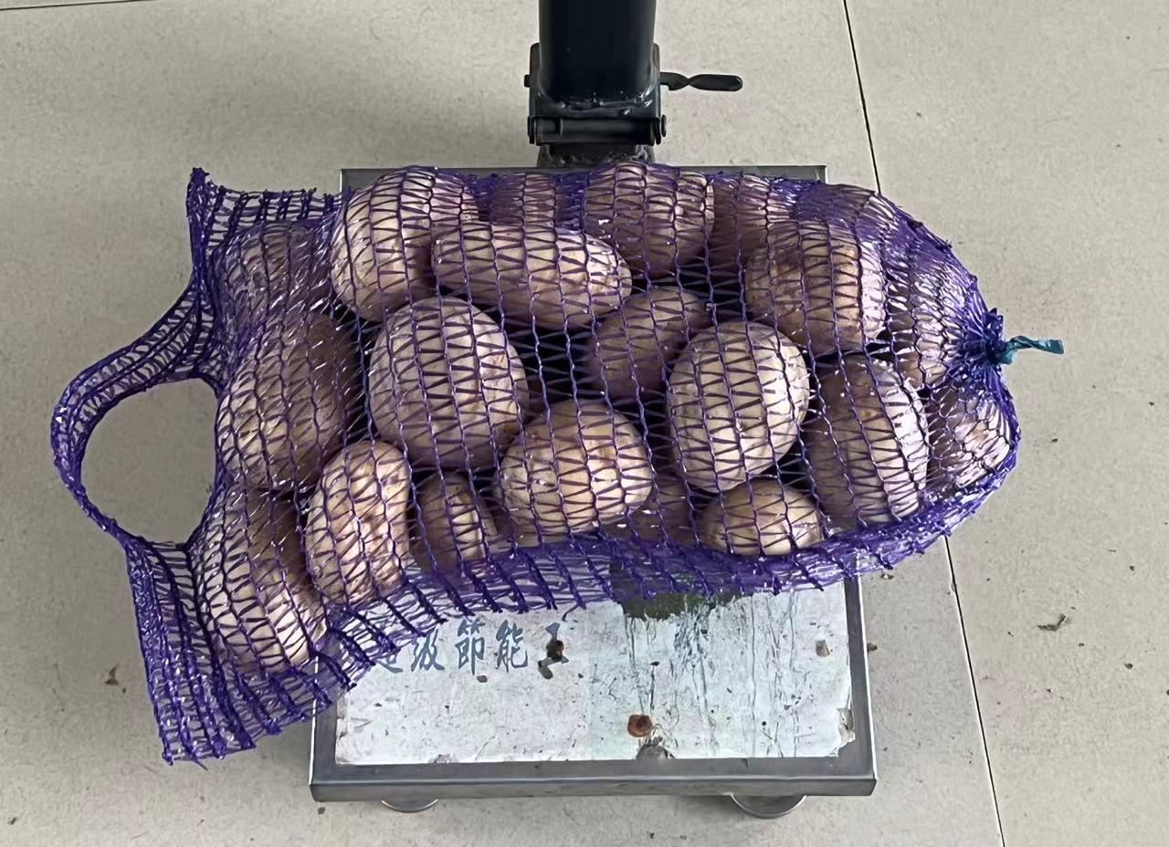 25×39 紫色网眼袋