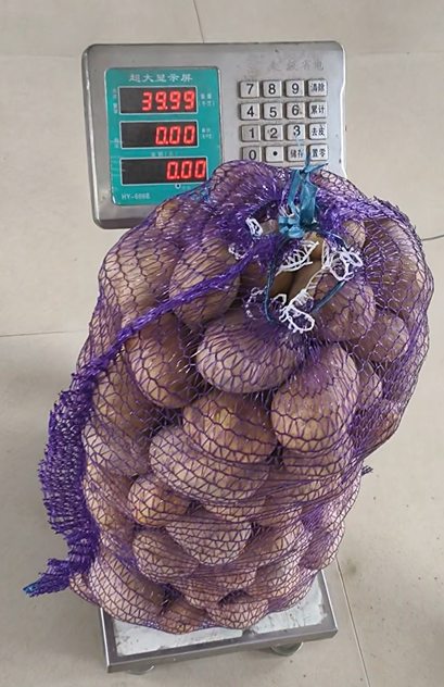 40×60 紫色网眼袋