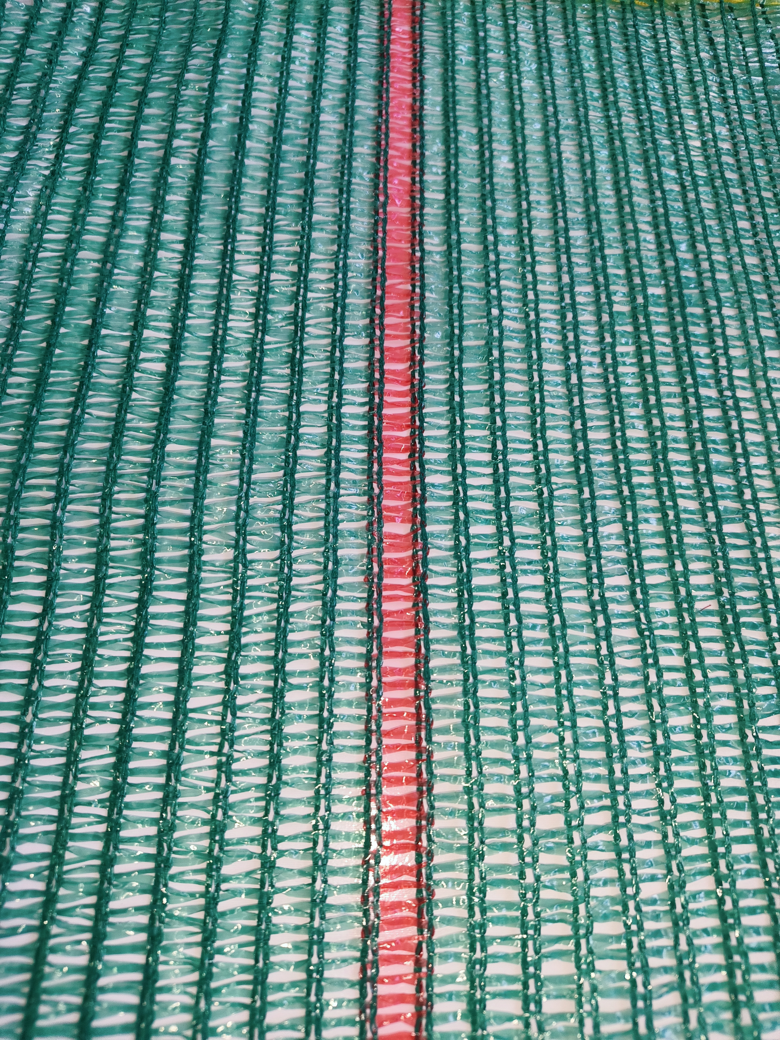 43×85 绿色网眼袋